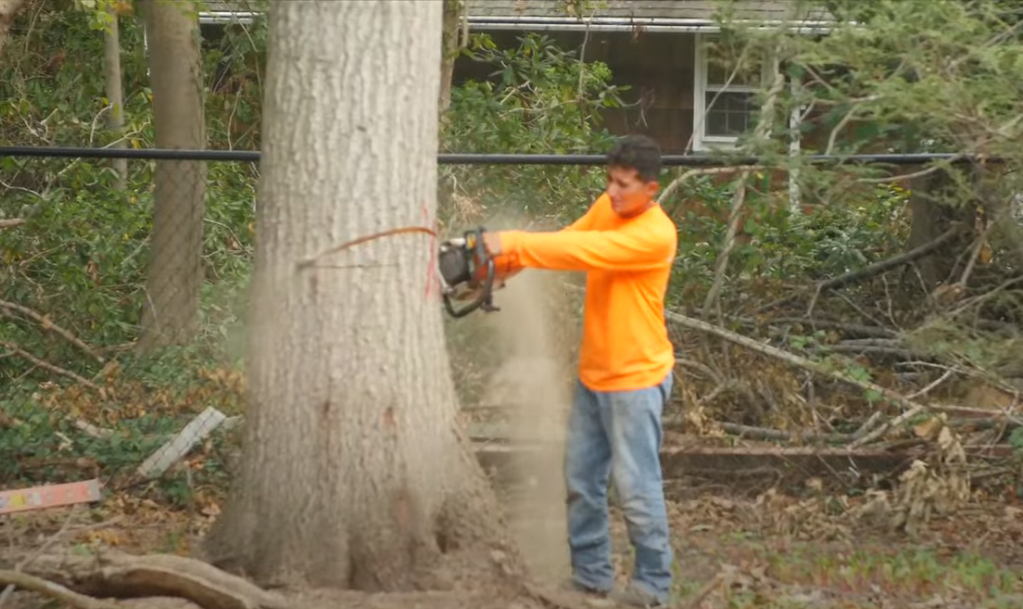 Tops Tree Service Fairfield Inc. Image